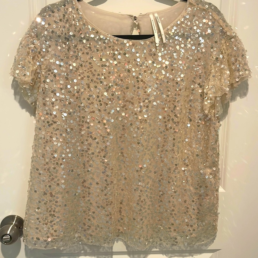 Anthropologie Sequin Top XL